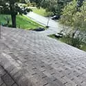 Roof cleaning  2